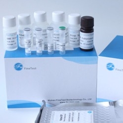 ম্যাক্রোফেজ কলোনি স্টিমুলেটিং ফ্যাক্টর M-CSF ELISA কিট FDA অনুমোদিত